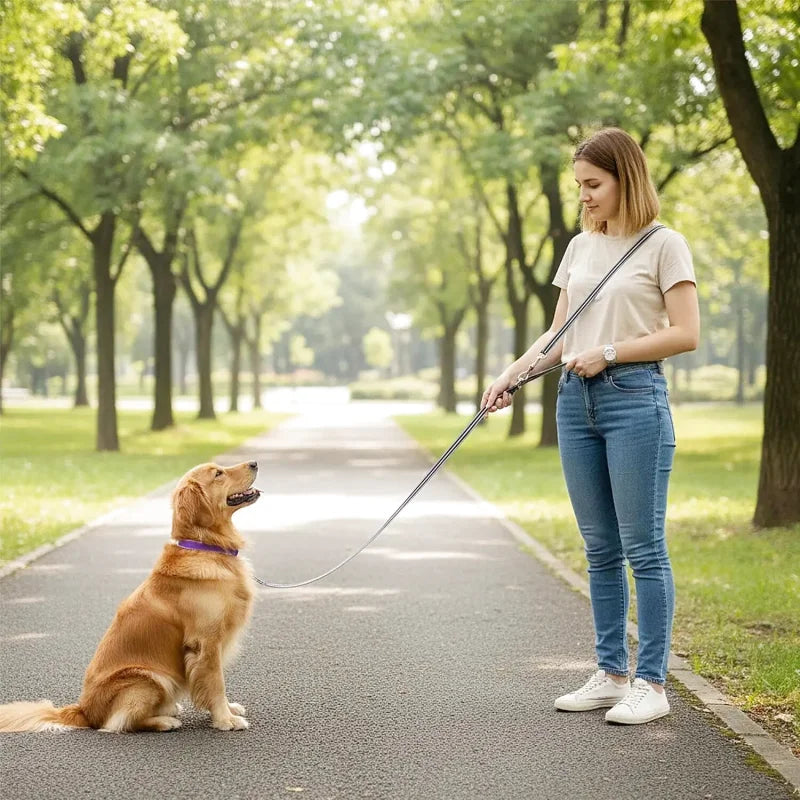 Laisse Multifonctions pour Chien — Réfléchissante, Extensible & Mains Libres