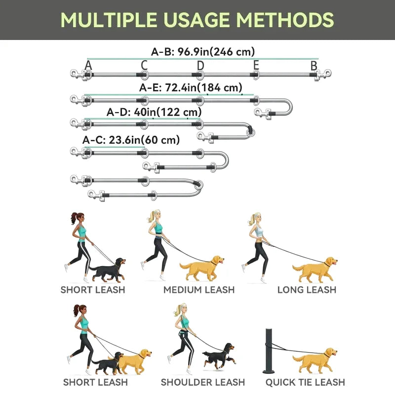 Laisse Multifonctions pour Chien — Réfléchissante, Extensible & Mains Libres