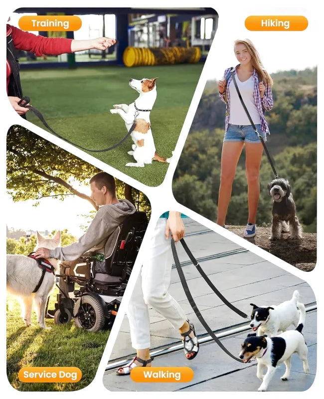 Laisse Multifonctions pour Chien — Réfléchissante, Extensible & Mains Libres