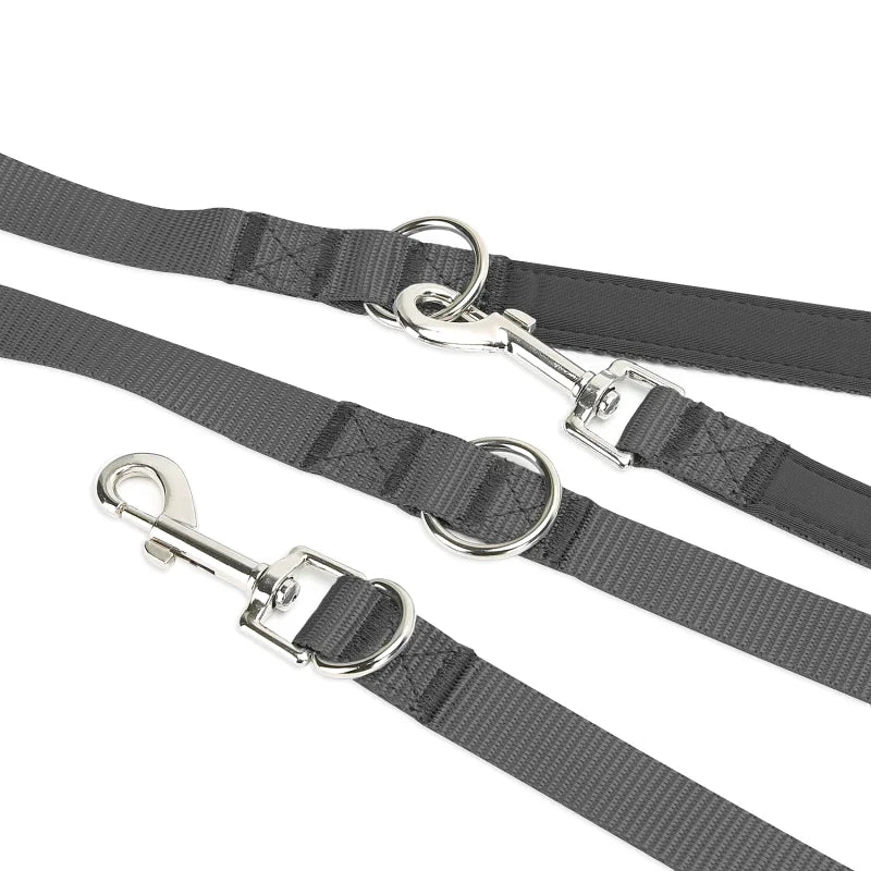 Laisse Multifonctions pour Chien — Réfléchissante, Extensible & Mains Libres
