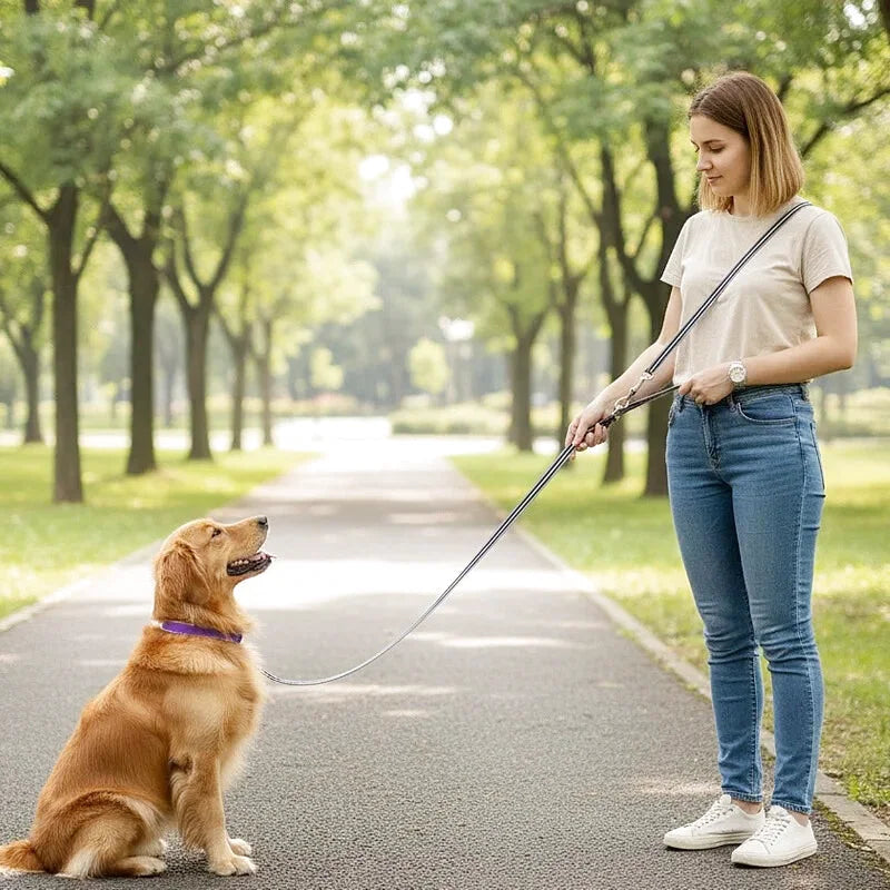Laisse Multifonctions pour Chien — Réfléchissante, Extensible & Mains Libres