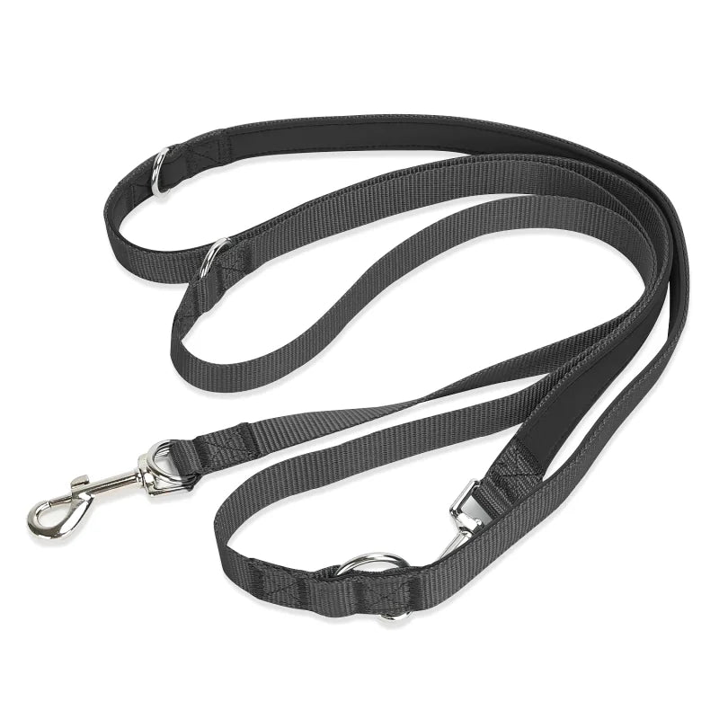 Laisse Multifonctions pour Chien — Réfléchissante, Extensible & Mains Libres