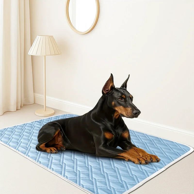 Tapis Rafraîchissant pour Chien – Soie Glacée Lavable | S à XXL